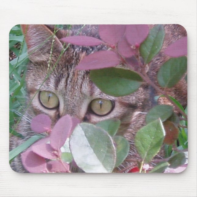 Flammen-Katzenaugen Mousepad (Vorne)