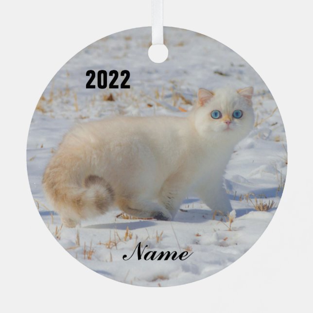 Flammenspitze Katze mit blauen Augen im Schnee Ornament Aus Metall (Rückseite)