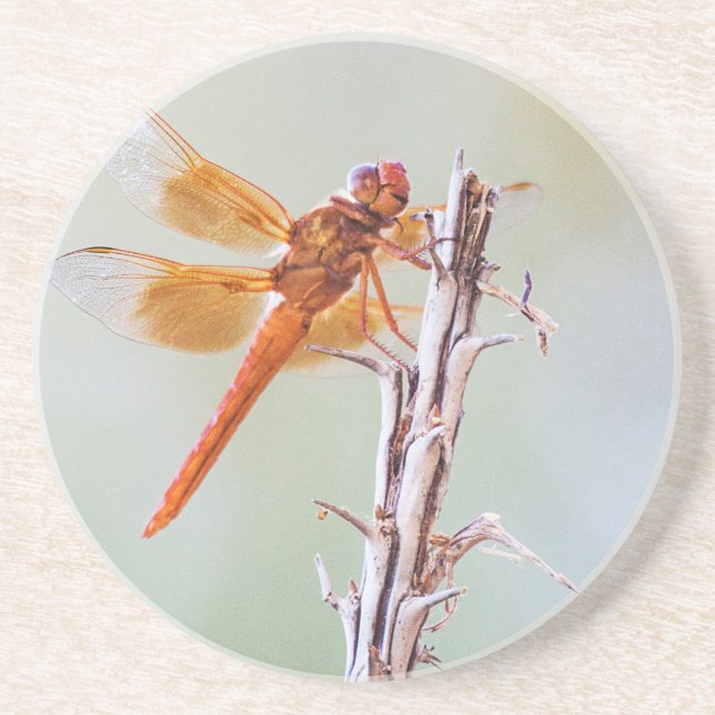 Flammskimmer Dragonfly auf Agave Getränkeuntersetzer (Vorne)