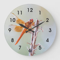 Flammskimmer Dragonfly auf Agave