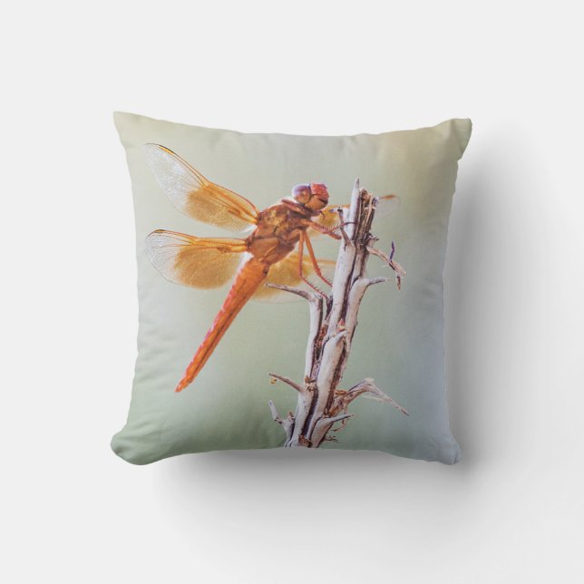 Flammskimmer Dragonfly auf Agave Kissen (Vorderseite)