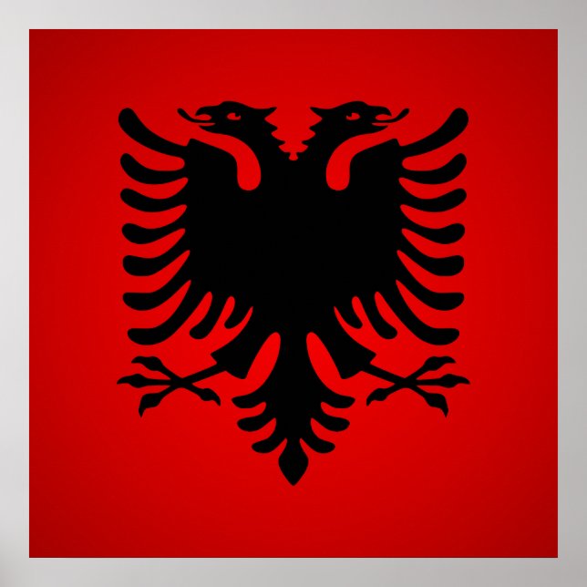 Flamuri i shqiperise poster (Vorne)