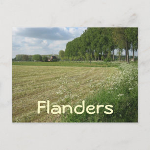 Flandern-Felder Postkarte