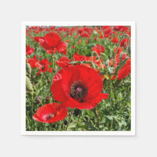 Flandern-Mohnblumen-Servietten Serviette