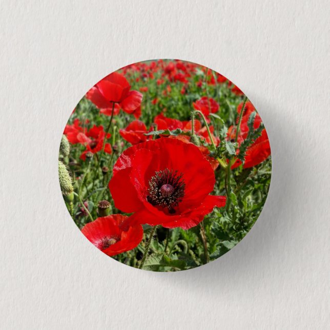 Flanders Poppy Button (Vorderseite)