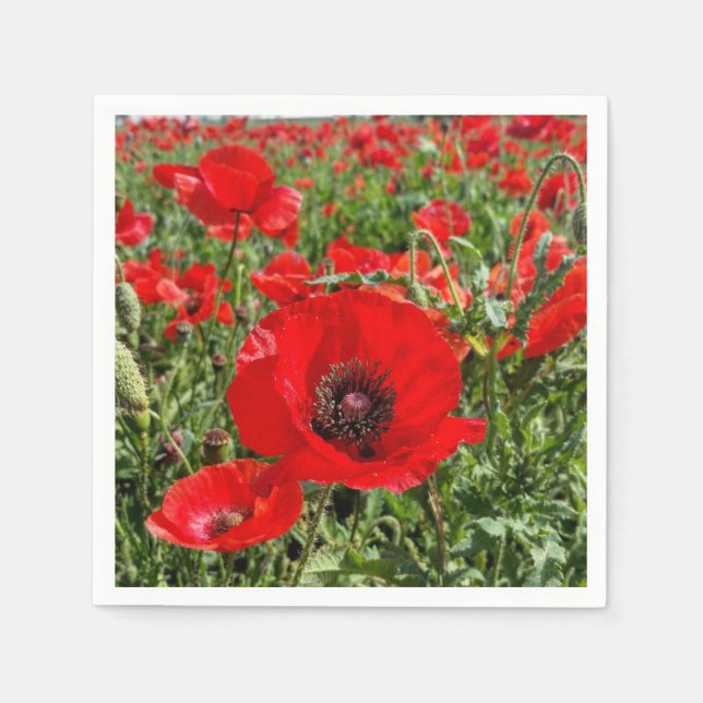 Flanders Poppy Napkins Serviette (Vorderseite)
