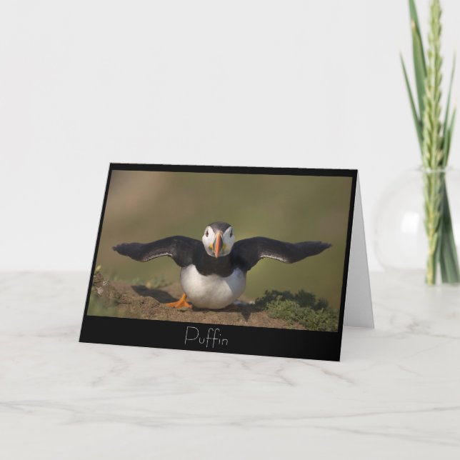 Flapping Puffin Karte (Vorderseite)