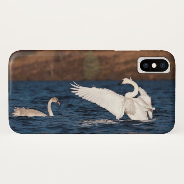 Flapping Swan Case-Mate iPhone Hülle (Rückseite (Horizontal))