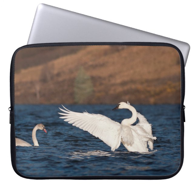 Flapping Swan Laptopschutzhülle (Vorderseite)