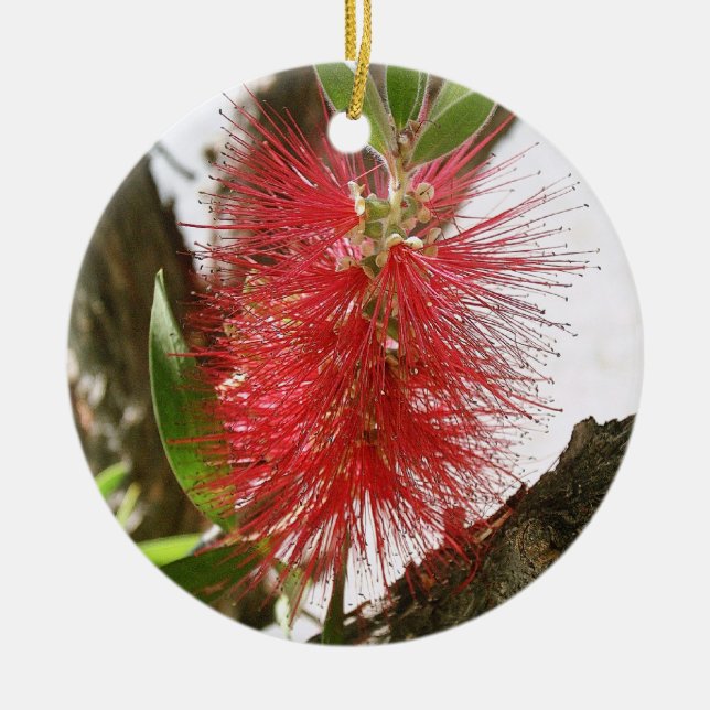 Flasche-Bürste Callistemon 8 Keramikornament (Vorne)