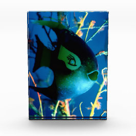 Flasche Fisch Gibney Das Museum Zazzle Fotoblock