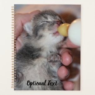 Flasche Füttre neugeborene Rescue Tabby Kitten Planer