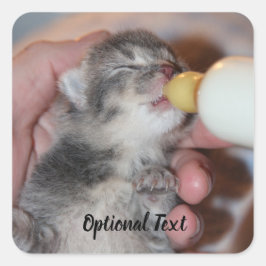 Flasche Füttre neugeborene Rescue Tabby Kitten Quadratischer Aufkleber