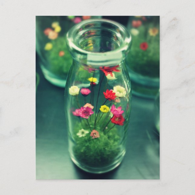 Flaschen Blume Postkarte (Vorderseite)
