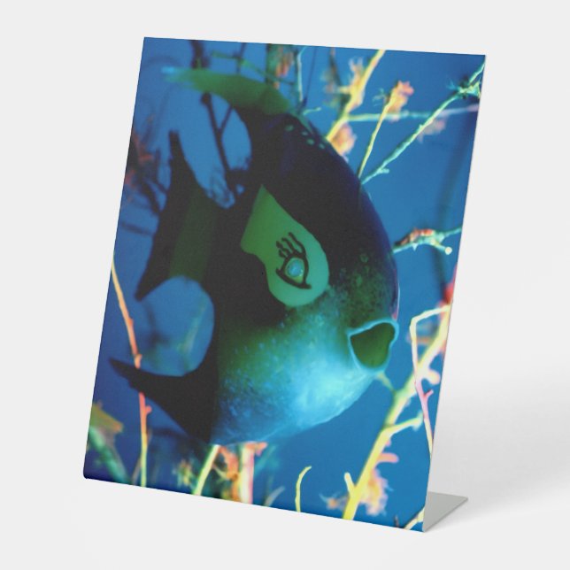 Flaschen Fisch Gibney Das Museum Zazzle Sockelschild (Vorderseite)