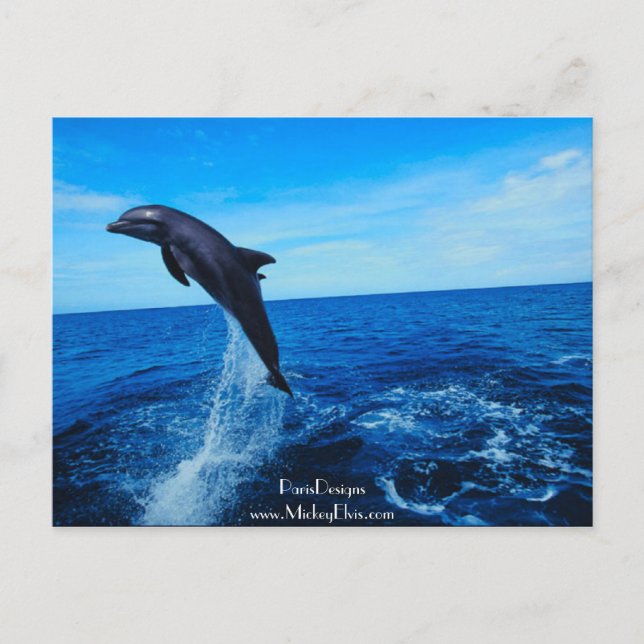 Flaschendümmler Postkarte (Vorderseite)