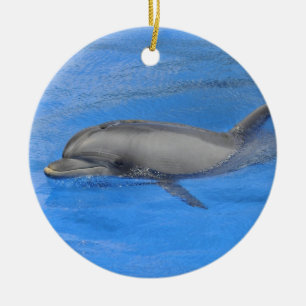 Flaschenhühnchen Keramikornament