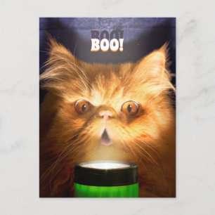 Flaschenlampe Einladungspostkarte