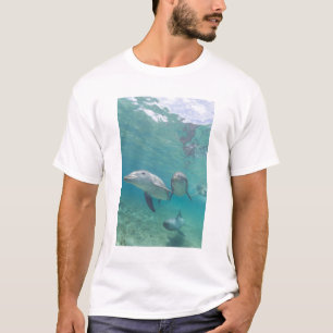 Flaschenose Delphine Tursiops truncatus T-Shirt