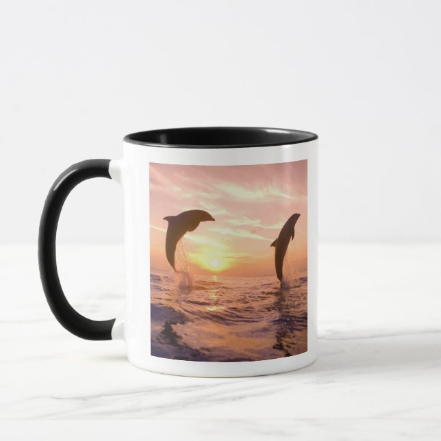Flaschenose Delphine Tursiops truncatus Tasse (Links)