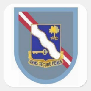 Flash DUI 1st Bn 143rd Inf 36. Abn Bde Stickers