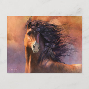 Flash-Postkarte Postkarte