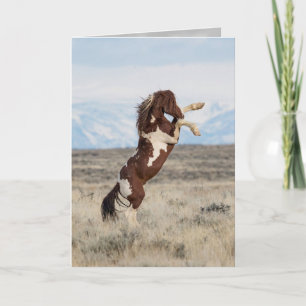 Flash Rears Wild Horse Greeting Card Karte