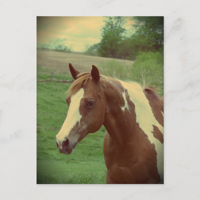 Flashy Retro Postkarte (Vorderseite)
