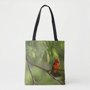 Flashy Vermillion Flycatcher