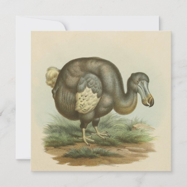Flat Card "Antique Dodo Bird Natural History" (Vorderseite)