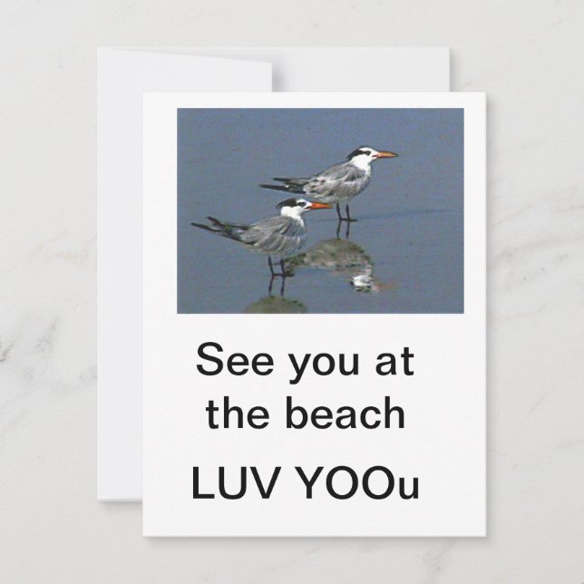 Flat Card Besichtigen Sie am Strand Gibney Das Mus (Vorderseite)