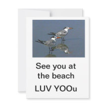 Flat Card Besichtigen Sie am Strand Gibney Das Mus