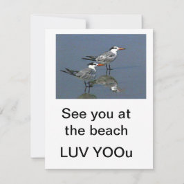 Flat Card Besichtigen Sie am Strand Gibney Das Mus