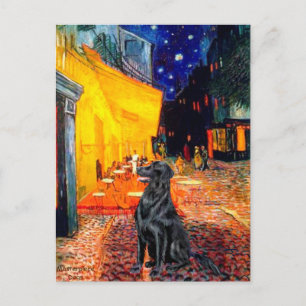 Flat Coated Retriever 1 - Terrassen-Café Postkarte