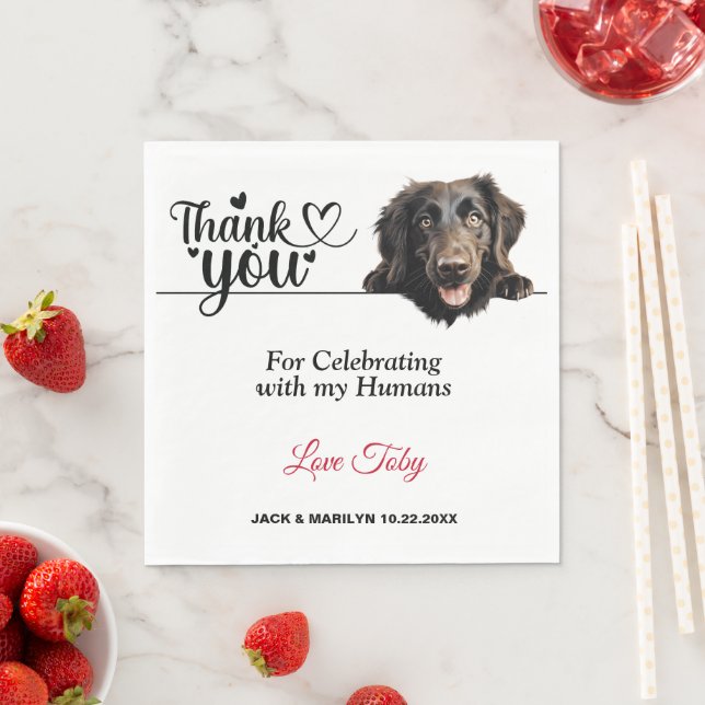 Flat Coated Retriever Papiertücher Serviette (Beispiel)