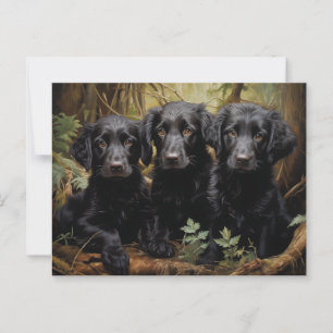 Flat Coated Retriever Welpen Postkarte