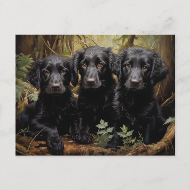 Flat Coated Retriever Welpen Postkarte (Vorderseite)
