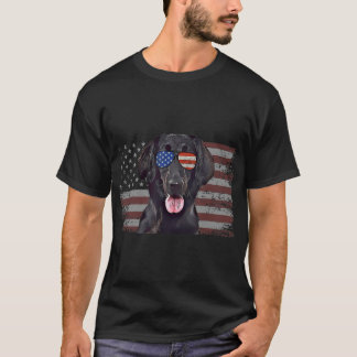 Flat Coated Retrievers Dog 4. Juli Retro USA Amer T-Shirt