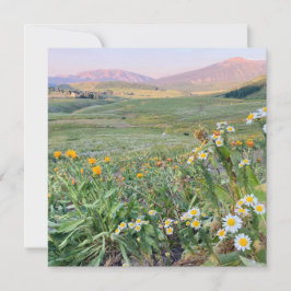 Flat Holiday Card Feiertagskarte