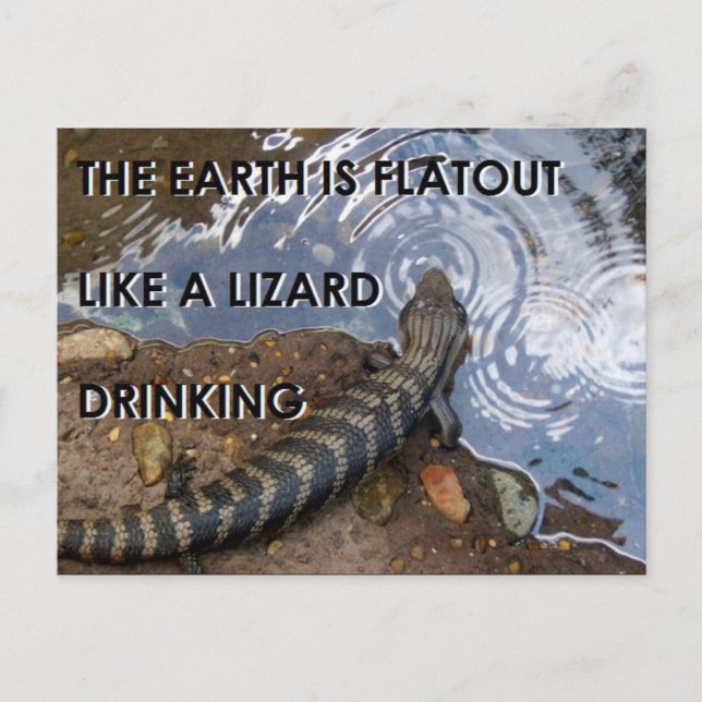 Flat Lizard Postcard - Flat Earth Meme Postkarte (Vorderseite)