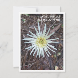 Flat Note Card mit Schönheit der Natur Mitteilungskarte