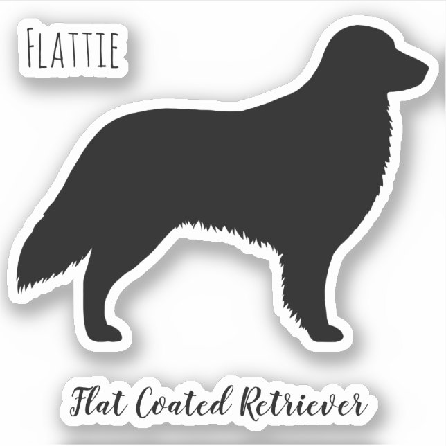 Flatbeschichtete Retriever Silhouette Flattie Dog Aufkleber (Vorderseite)