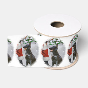 Flatbeschichtetes Retriever Ripsband