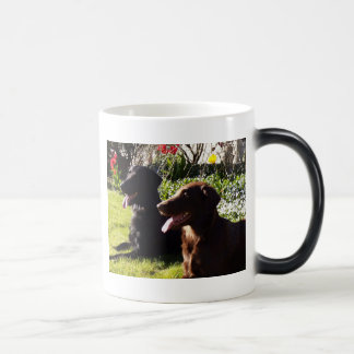 Flatcoated Retriever-Tasse Verwandlungstasse