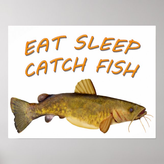 Flathead Catfish Poster (Vorne)