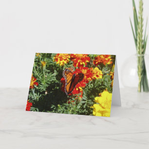 "Flatternd" Gute Besserung Karte