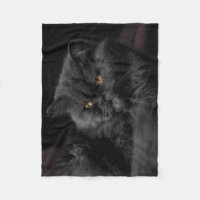 Flaumige schwarze entspannende Katze