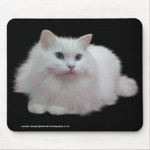 Flaumige weiße Katze Mousepad