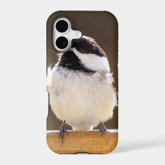 Flaumiger Chickadee iPhone 5 Fall