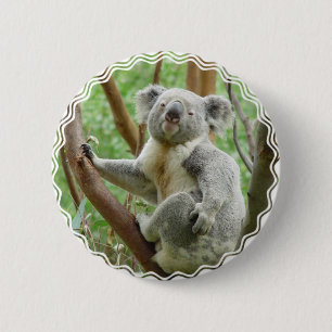 Flaumiger Koala-Knopf Button